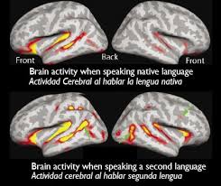 Bilingual