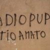 Errori tipicamente italiani: doppie e congiuntivi adiopupa